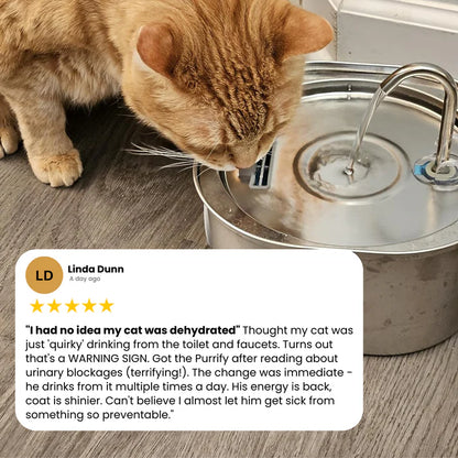 Purrify Stainless Steel Water Fountain